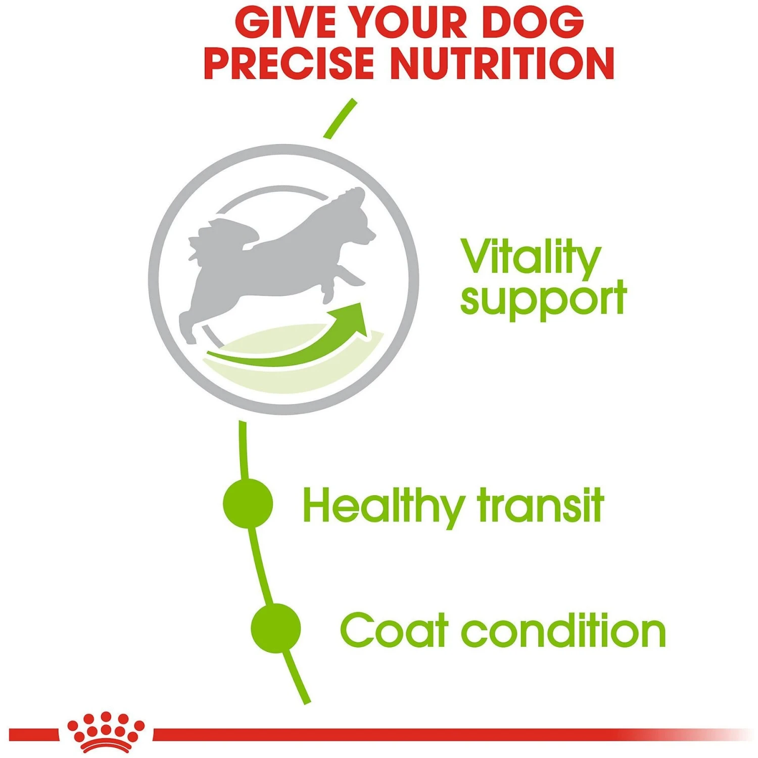 Royal Canin Size Health Nutrition X-Small Adult 8+ Dry Dog Food 7 Royal Canin Size Health Nutrition X-Small Adult 8+ Dry Dog Food - Image 5