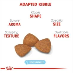 Royal Canin Size Health Nutrition X-Small Aging 12+ Dry Dog Food -Blue Buffalos Shop 52398 PT2. AC SS1800 V1697216176