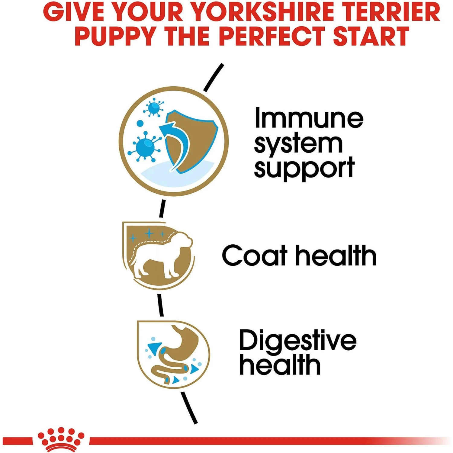 Royal Canin Breed Health Nutrition Yorkshire Terrier Puppy Dry Dog Food 7 Royal Canin Breed Health Nutrition Yorkshire Terrier Puppy Dry Dog Food - Image 5