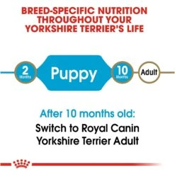 Royal Canin Breed Health Nutrition Yorkshire Terrier Puppy Dry Dog Food 17 Royal Canin Breed Health Nutrition Yorkshire Terrier Puppy Dry Dog Food -Blue Buffalos Shop 52402 PT6. AC SS1800 V1697216753