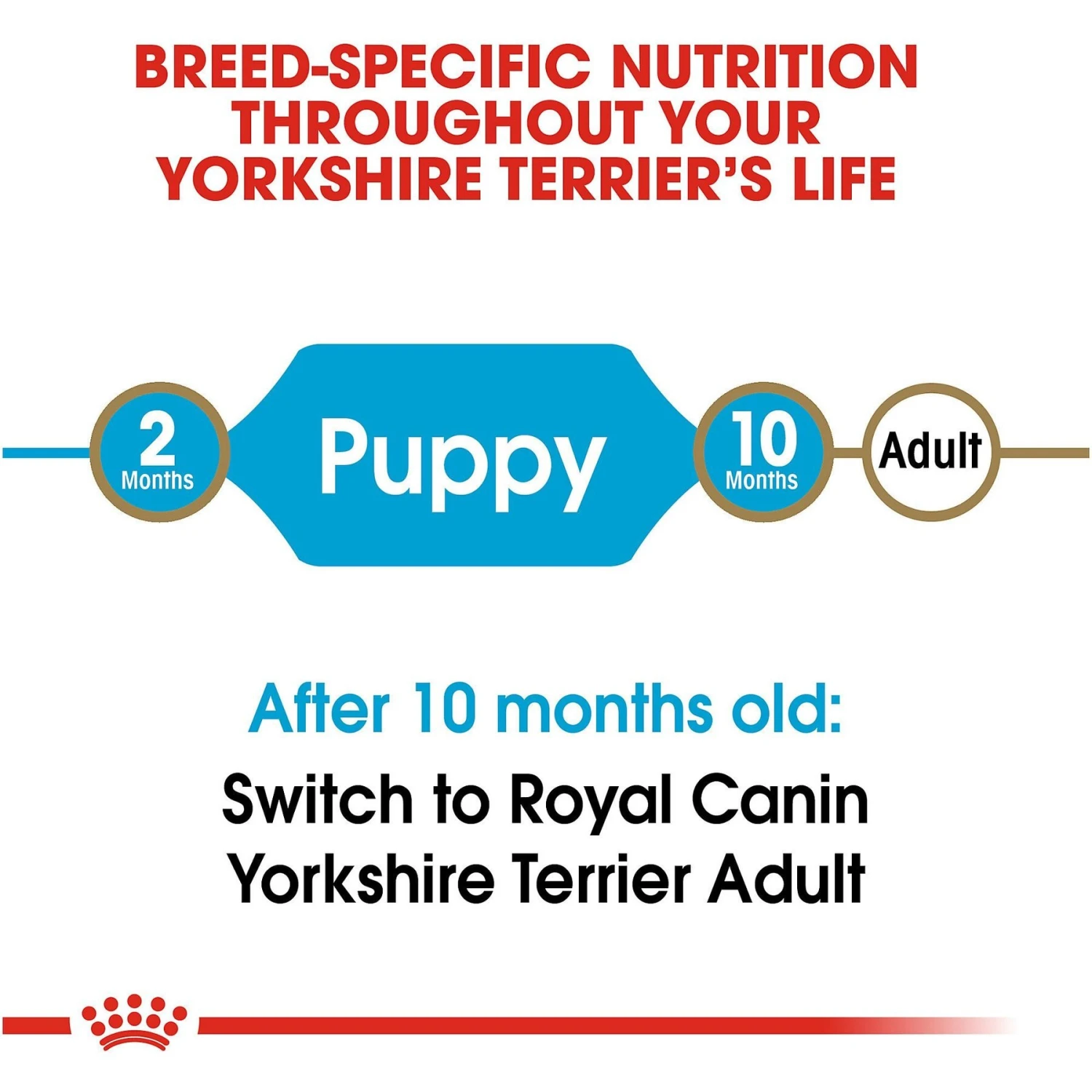 Royal Canin Breed Health Nutrition Yorkshire Terrier Puppy Dry Dog Food 9 Royal Canin Breed Health Nutrition Yorkshire Terrier Puppy Dry Dog Food - Image 7