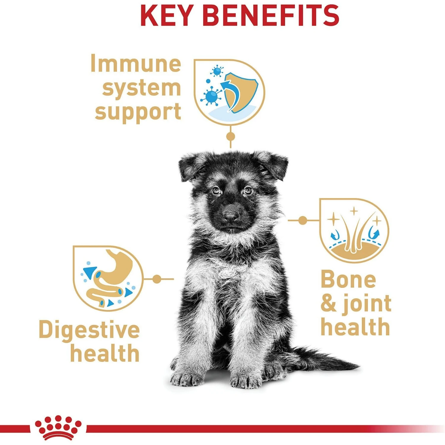Royal Canin Breed Health Nutrition German Shepherd Puppy Dry Dog Food 7 Royal Canin Breed Health Nutrition German Shepherd Puppy Dry Dog Food - Image 5