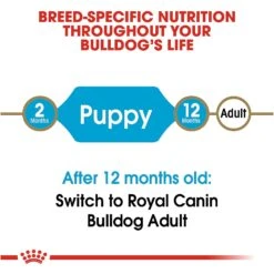 Royal Canin Breed Health Nutrition Bulldog Puppy Dry Dog Food -Blue Buffalos Shop 52515 PT6. AC SS1800 V1697212732