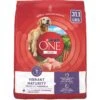 Purina ONE SmartBlend Vibrant Maturity 7+ Formula Adult Premium Dry Dog Food