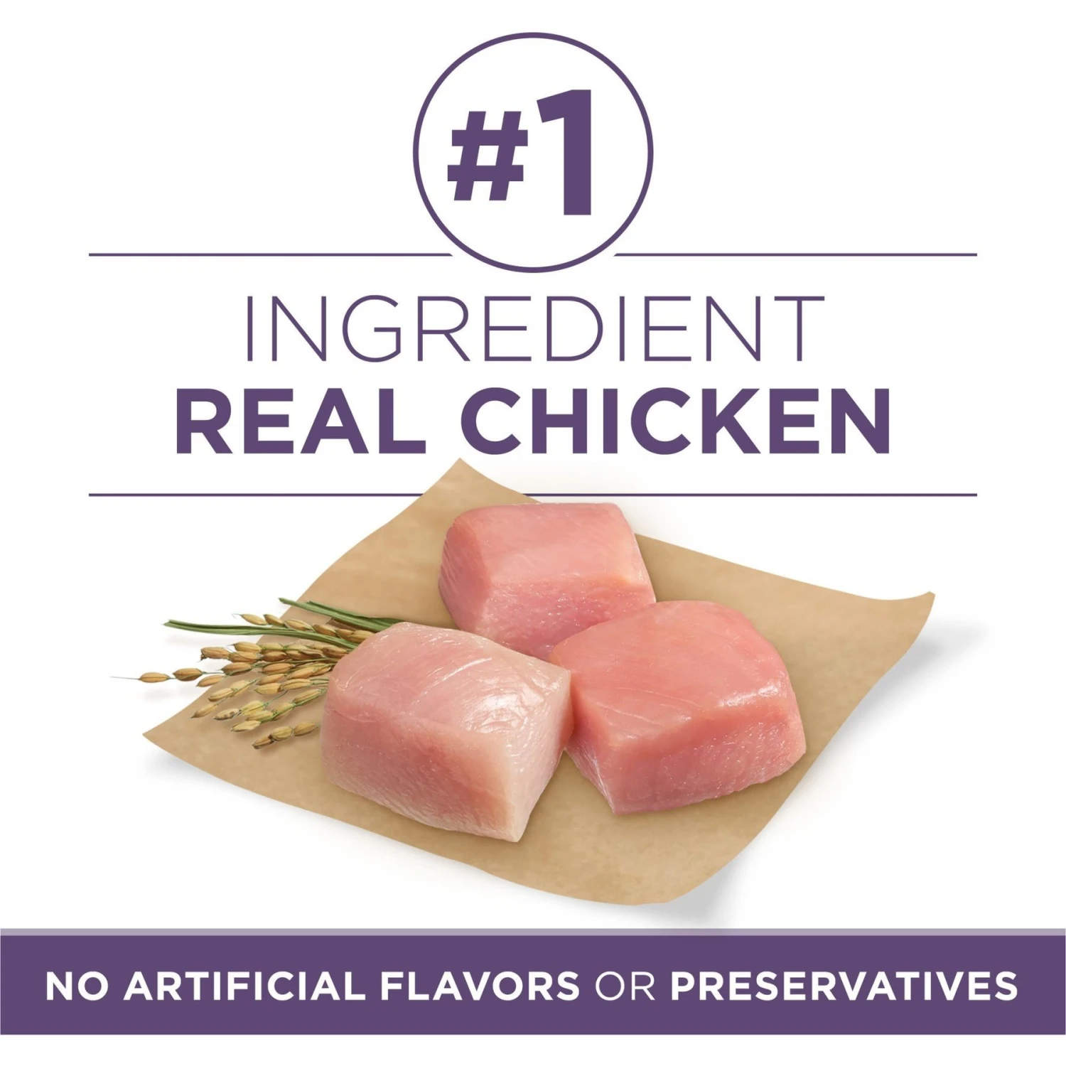 Purina ONE SmartBlend Vibrant Maturity 7+ Formula Adult Premium Dry Dog Food 5 Purina ONE SmartBlend Vibrant Maturity 7+ Formula Adult Premium Dry Dog Food - Image 3