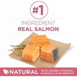 Purina ONE +Plus Adult Skin & Coat Formula Dry Dog Food -Blue Buffalos Shop 52545 PT2. AC SS1800 V1657658481