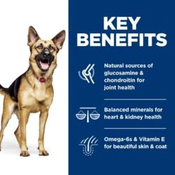 Hill's Science Diet Adult 6+ Large Breed Chicken Meal, Barley & Rice Dry Dog Food 16 Hill's Science Diet Adult 6+ Large Breed Chicken Meal, Barley & Rice Dry Dog Food -Blue Buffalos Shop 52715 PT5. AC SS1800 V1605841915