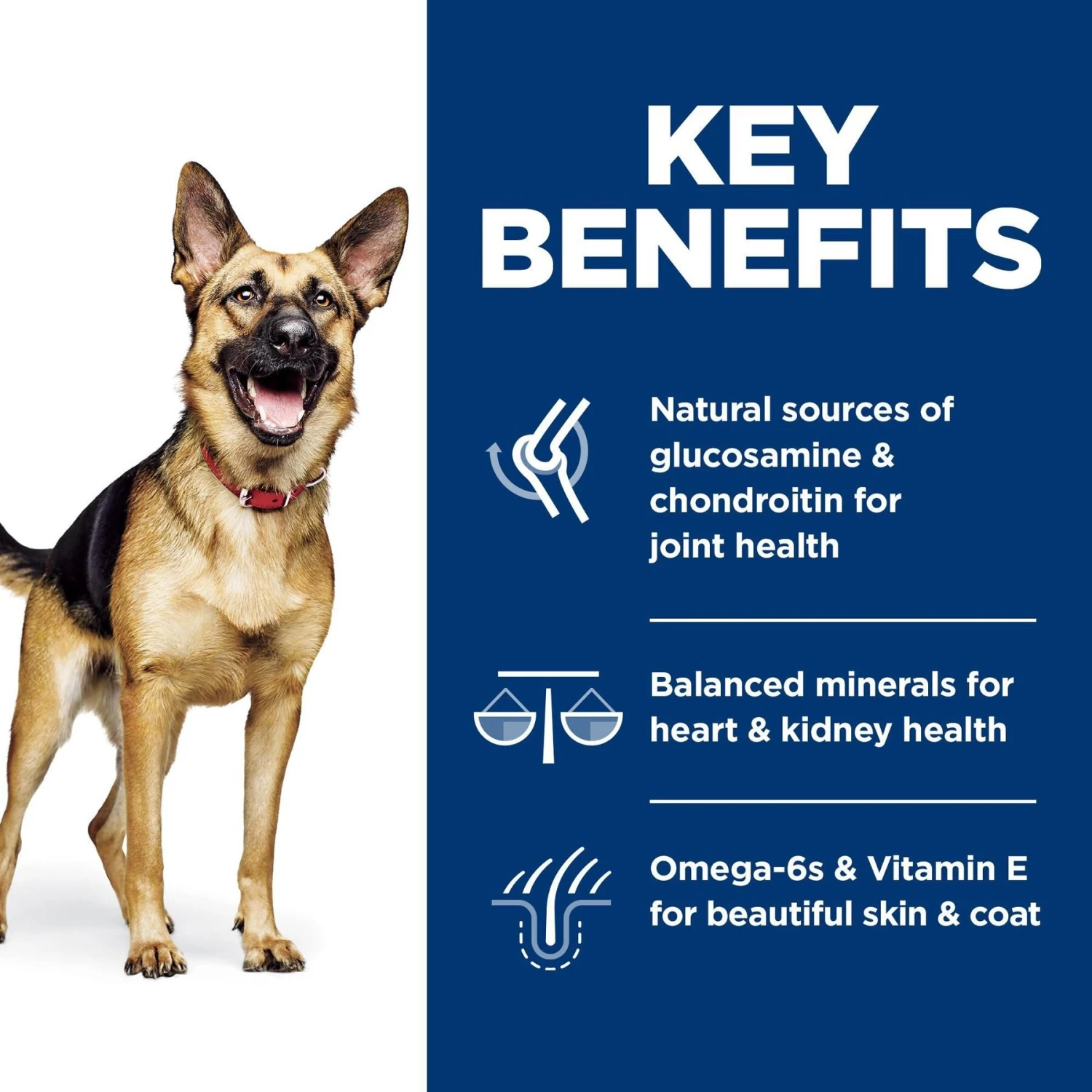 Hill's Science Diet Adult 6+ Large Breed Chicken Meal, Barley & Rice Dry Dog Food 8 Hill's Science Diet Adult 6+ Large Breed Chicken Meal, Barley & Rice Dry Dog Food - Image 6