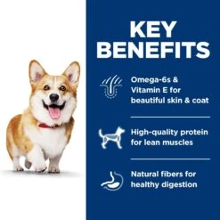 Hill's Science Diet Adult Small Bites Lamb Meal & Brown Rice Recipe Dry Dog Food -Blue Buffalos Shop 52719 PT4. AC SS1800 V1598149565