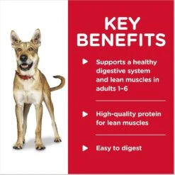 Hill's Science Diet Adult Savory Stew With Beef & Vegetables Canned Dog Food -Blue Buffalos Shop 52789 PT3. AC SS1800 V1598144504