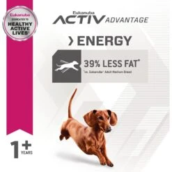 Eukanuba Fit Body Weight Control Small Breed Dry Dog Food -Blue Buffalos Shop 533158 PT5. AC SS1800 V1652738210