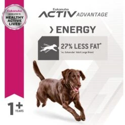 Eukanuba Fit Body Weight Control Large Breed Dry Dog Food -Blue Buffalos Shop 533174 PT4. AC SS1800 V1657658634