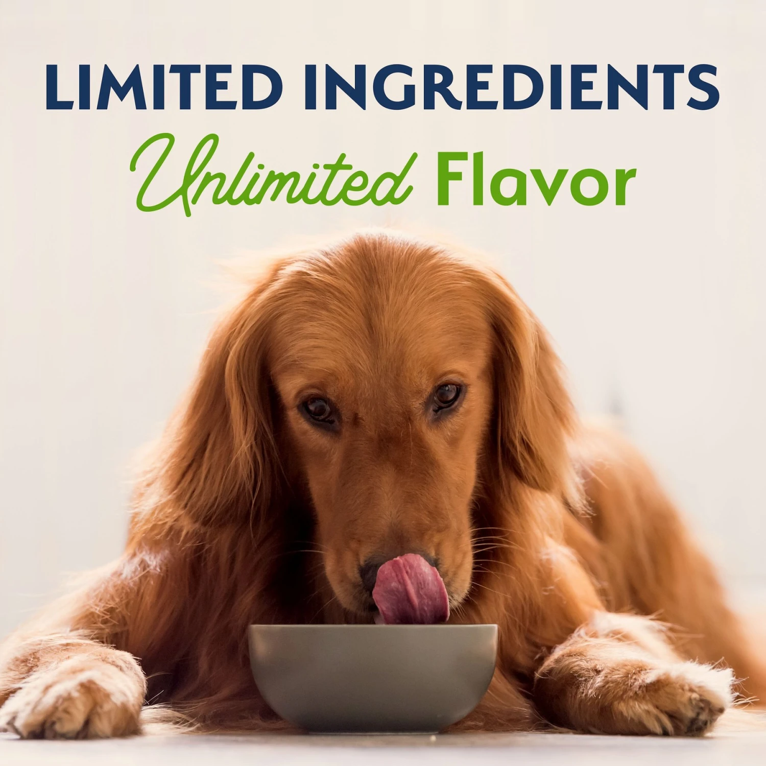 Natural Balance Limited Ingredient Vegetarian Recipe Dry Dog Food 8 Natural Balance Limited Ingredient Vegetarian Recipe Dry Dog Food - Image 6