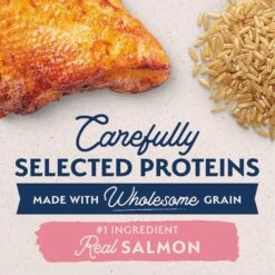 Natural Balance Limited Ingredient Salmon & Brown Rice Recipe Dry Dog Food -Blue Buffalos Shop 537342 PT3. AC SS1800 V1652773606