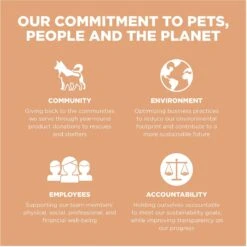 Go! Solutions Digestion + Gut Health Salmon Recipe With Ancient Grains For Dogs -Blue Buffalos Shop 539534 PT8. AC SS1800 V1662061254