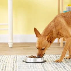 Loving Pets Non-Skid Stainless Steel Dog & Cat Bowl -Blue Buffalos Shop 54395 PT1. AC SS1800 V1545257328