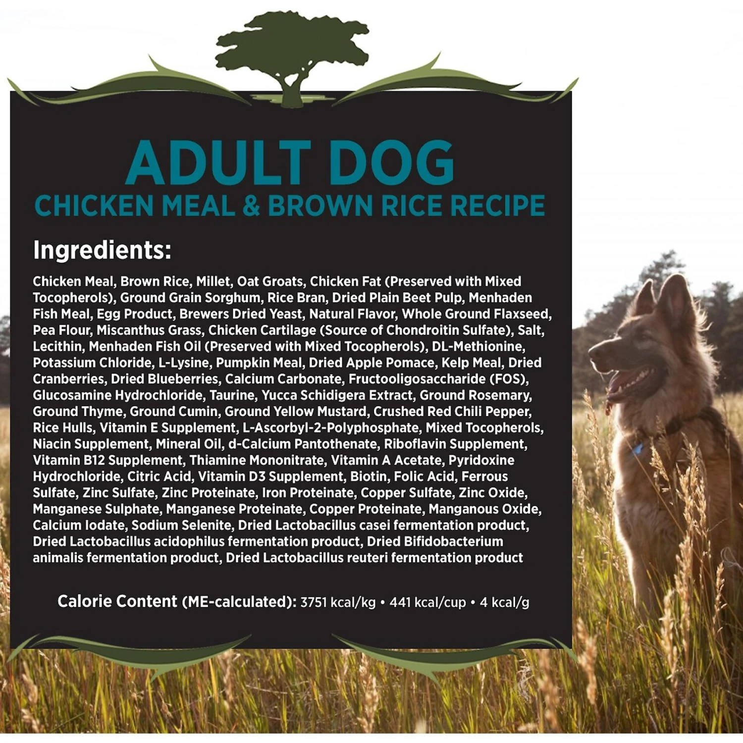 Blackwood Chicken Meal & Rice Recipe Everyday Diet Adult Dry Dog Food 4 Blackwood Chicken Meal & Rice Recipe Everyday Diet Adult Dry Dog Food - Image 2