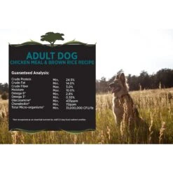 Blackwood Chicken Meal & Rice Recipe Everyday Diet Adult Dry Dog Food 9 Blackwood Chicken Meal & Rice Recipe Everyday Diet Adult Dry Dog Food -Blue Buffalos Shop 54539 PT3. AC SS1800 V1550528333