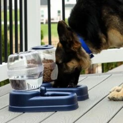 Bergan Gourmet Gravity Refill Dog Feeder -Blue Buffalos Shop 54822 PT2. AC SS1800 V1678112659