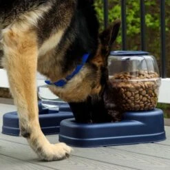 Bergan Gourmet Gravity Refill Dog Feeder -Blue Buffalos Shop 54822 PT3. AC SS1800 V1677960189