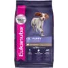 Eukanuba Puppy Lamb 1st Ingredient Dry Dog Food -Blue Buffalos Shop 552326 MAIN. AC SS1800 V1653580902