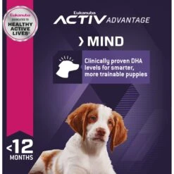 Eukanuba Puppy Lamb 1st Ingredient Dry Dog Food -Blue Buffalos Shop 552326 PT5. AC SS1800 V1657659455