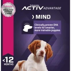 Eukanuba Puppy Medium Breed Dry Dog Food -Blue Buffalos Shop 552334 PT5. AC SS1800 V1658217345