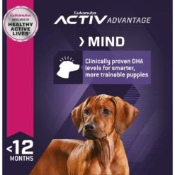 Eukanuba Puppy Large Breed Dry Dog Food -Blue Buffalos Shop 552358 PT5. AC SS1800 V1653580908