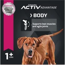 Eukanuba Adult Large Breed Lamb 1st Ingredient Dry Dog Food -Blue Buffalos Shop 552366 PT4. AC SS1800 V1677085126