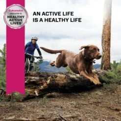 Eukanuba Adult Large Breed Lamb 1st Ingredient Dry Dog Food -Blue Buffalos Shop 552366 PT7. AC SS1800 V1677085791