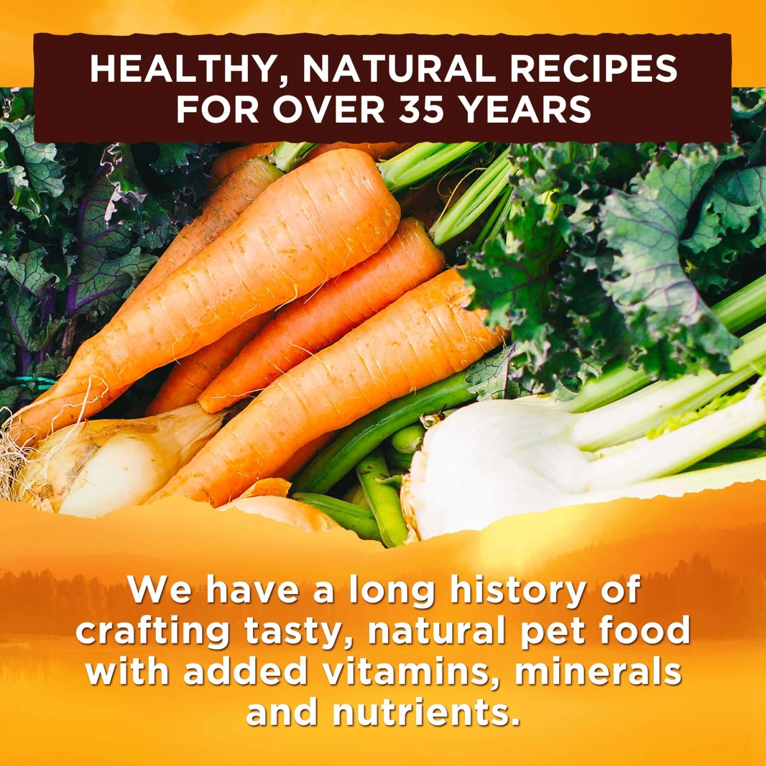 Nature's Recipe Ground Lamb, Rice & Barley Recipe Wet Dog Food 7 Nature's Recipe Ground Lamb, Rice & Barley Recipe Wet Dog Food - Image 5