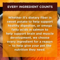 Nature's Recipe Ground Lamb, Rice & Barley Recipe Wet Dog Food 16 Nature's Recipe Ground Lamb, Rice & Barley Recipe Wet Dog Food -Blue Buffalos Shop 56219 PT5. AC SS1800 V1676042041