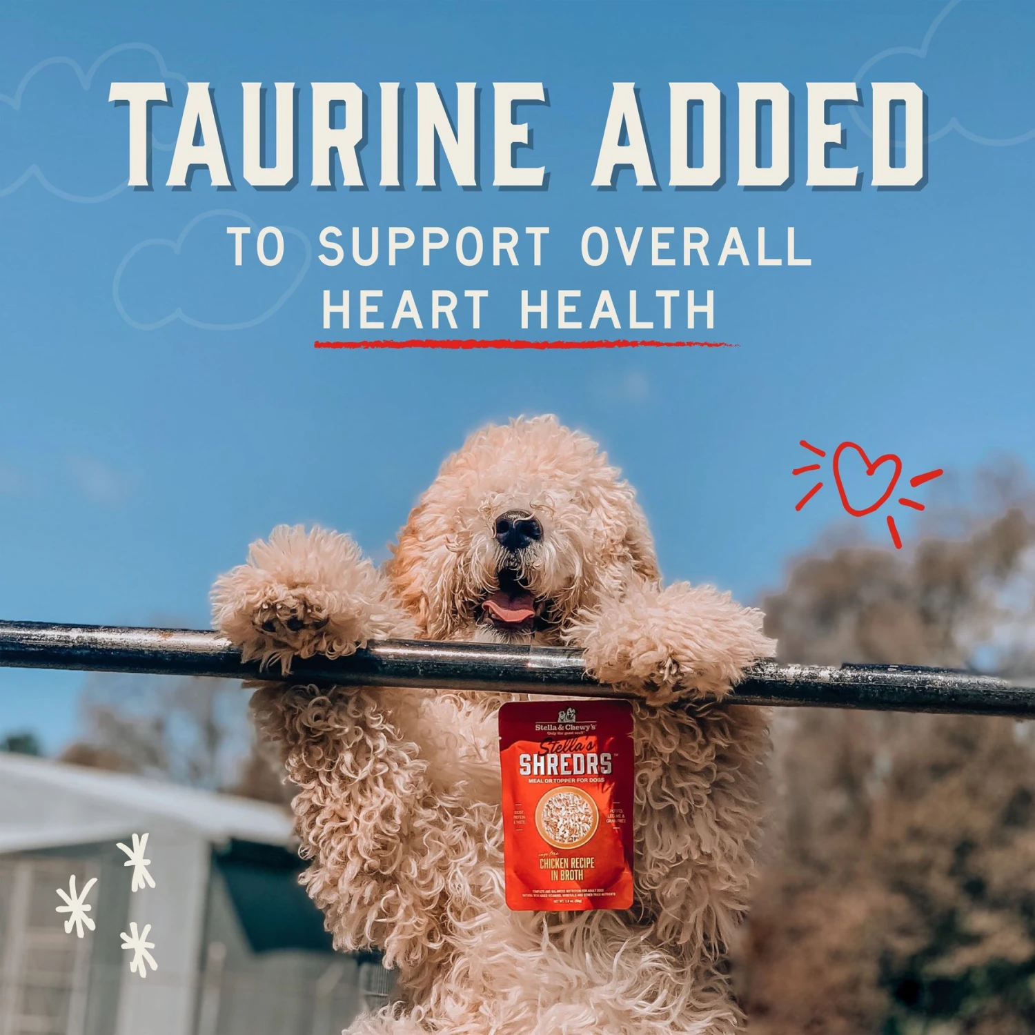 Stella & Chewy's Stella’s Shredrs Cage Free Chicken & Duck Recipe In Broth Adult Wet Dog Food, 2.8-oz Pouch, Case Of 24 9 Stella & Chewy's Stella’s Shredrs Cage Free Chicken & Duck Recipe In Broth Adult Wet Dog Food, 2.8-oz Pouch, Case Of 24 - Image 7