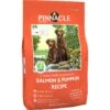 Pinnacle Salmon & Pumpkin Recipe Dry Dog Food