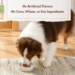 True Acre Foods Grilled Chicken Flavor Tender Loaf In Gravy, Wet Dog Food Cups -Blue Buffalos Shop 569350 PT5. AC SS1800 V1670335757