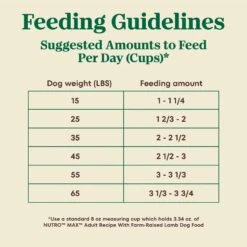 Nutro Max Adult Farm-Raised Lamb Recipe Natural Dry Dog Food, 25-lb Bag 16 Nutro Max Adult Farm-Raised Lamb Recipe Natural Dry Dog Food, 25-lb Bag -Blue Buffalos Shop 569526 PT5. AC SS1800 V1702666955