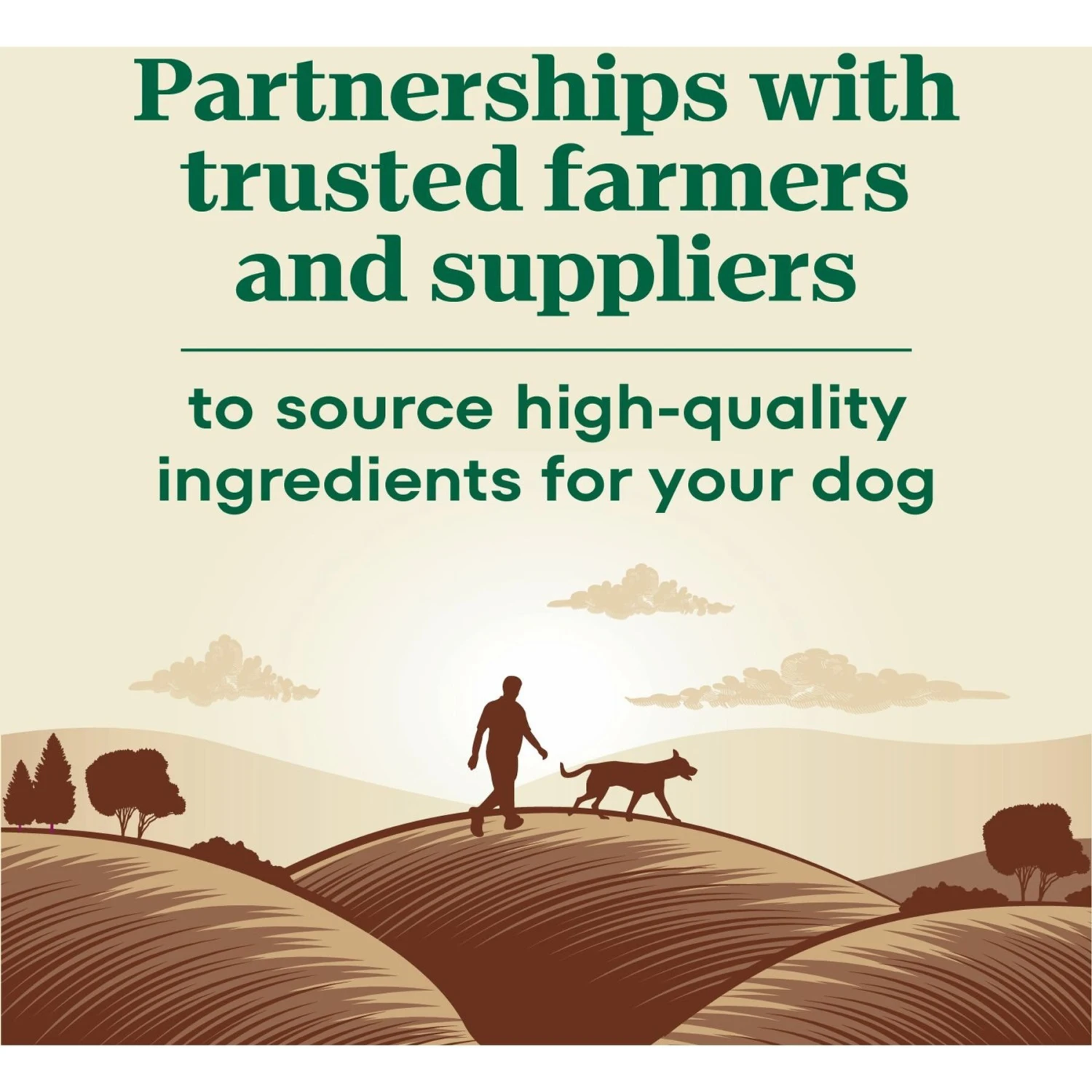 Nutro Max Adult Farm-Raised Lamb Recipe Natural Dry Dog Food, 25-lb Bag 10 Nutro Max Adult Farm-Raised Lamb Recipe Natural Dry Dog Food, 25-lb Bag - Image 8