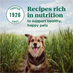 Nutro Max Mini Chunks Adult Farm-Raised Chicken Recipe Natural Dry Dog Food -Blue Buffalos Shop 569630 PT7. AC SS1800 V1658206845