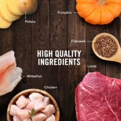 American Journey Lamb Recipe Grain-Free Canned Dog Food & American Journey Beef & Chicken Recipe Grain-Free Canned Dog Food -Blue Buffalos Shop 574638 PT8. AC SS1800 V1694611105