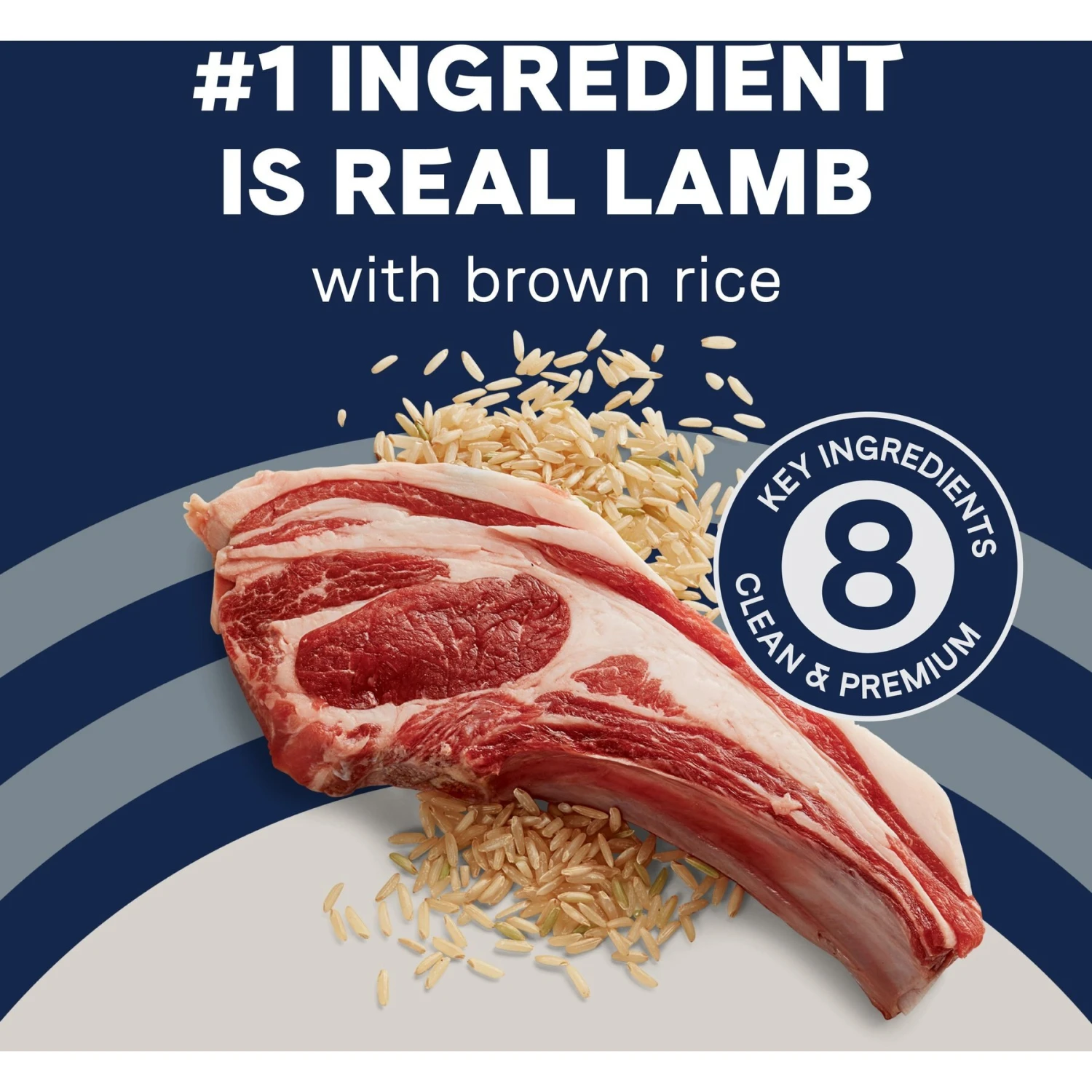 CANIDAE Pure Real Lamb & Brown Rice Recipe Dry Dog Food 7 CANIDAE Pure Real Lamb & Brown Rice Recipe Dry Dog Food - Image 5