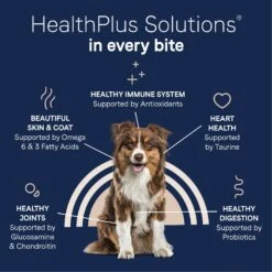 CANIDAE Pure Real Lamb & Brown Rice Recipe Dry Dog Food 17 CANIDAE Pure Real Lamb & Brown Rice Recipe Dry Dog Food -Blue Buffalos Shop 574846 PT6. AC SS1800 V1684793757