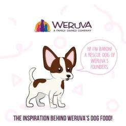 Weruva Meals 'n More Natural Wet Dog Food, Amazon Livin' Plus Digestive Support, 3.5-oz Cup, 12 Count -Blue Buffalos Shop 578446 PT7. AC SS1800 V1695828647