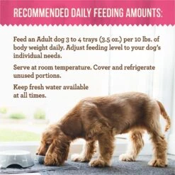 Merrick Lil’ Plates Dinner Duos Itsy Bitsy Beef Stew & Petite Pot Pie Variety Pack Grain-Free Wet Dog Food -Blue Buffalos Shop 578526 PT4. AC SS1800 V1663191241