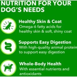 Iams ProActive Health Classic Ground With Chicken & Whole Grain Rice Adult Wet Dog Food -Blue Buffalos Shop 604326 PT7. AC SS1800 V1658187318