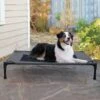 K&H Pet Products Original Pet Cot Elevated Dog Bed 1 K&H Pet Products Original Pet Cot Elevated Dog Bed -Blue Buffalos Shop 611958 MAIN. AC SS1800 V1696351195