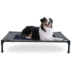 K&H Pet Products Original Pet Cot Elevated Dog Bed -Blue Buffalos Shop 611958 PT1. AC SS1800 V1659484090