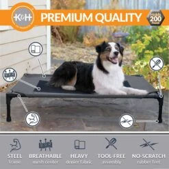 K&H Pet Products Original Pet Cot Elevated Dog Bed -Blue Buffalos Shop 611958 PT2. AC SS1800 V1659484091