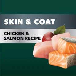 Iams Advanced Health Skin & Coat Chicken & Salmon Recipe Adult Dry Dog Food -Blue Buffalos Shop 616934 PT2. AC SS1800 V1659822862