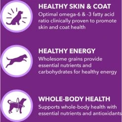 Iams Advanced Health Skin & Coat Chicken & Salmon Recipe Adult Dry Dog Food -Blue Buffalos Shop 616934 PT3. AC SS1800 V1659822862