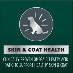 Iams Advanced Health Skin & Coat Chicken & Salmon Recipe Adult Dry Dog Food -Blue Buffalos Shop 616934 PT4. AC SS1800 V1670426123